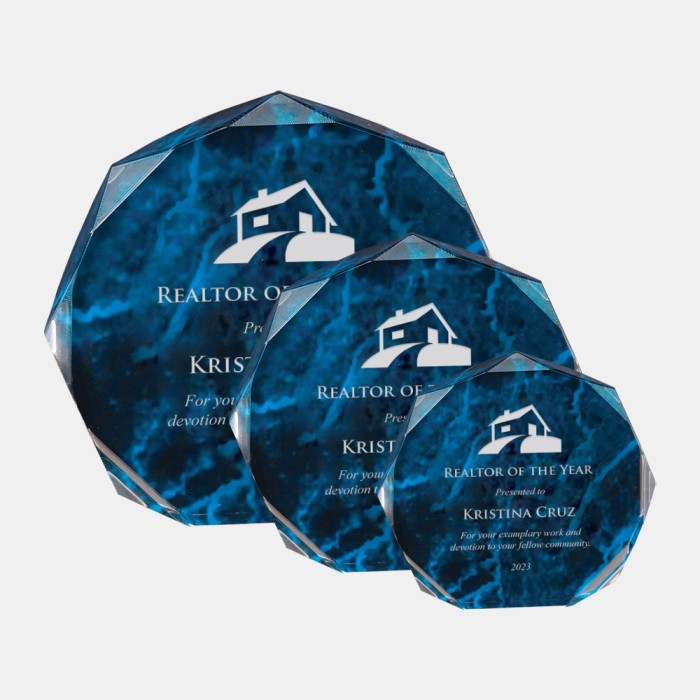 Blue Marble Octagon Acrylic Award