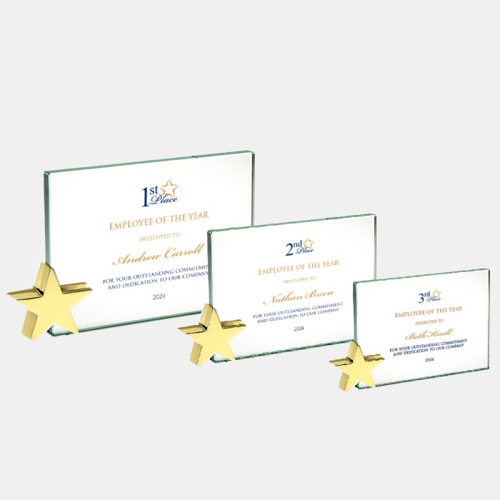 Color Imprinted Jade Achievement Award with Brass Star